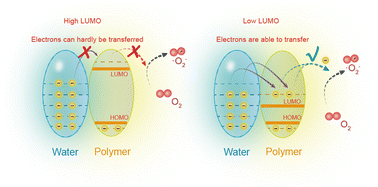 Graphical abstract: A perspective on contact-electro-catalysis based on frontier molecular orbitals